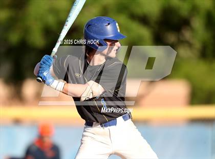 Thumbnail 1 in Cholla @ Sahuarita photogallery.