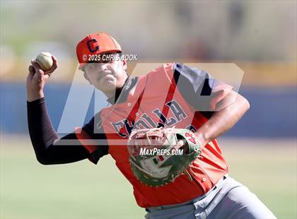 Thumbnail 2 in Cholla @ Sahuarita photogallery.