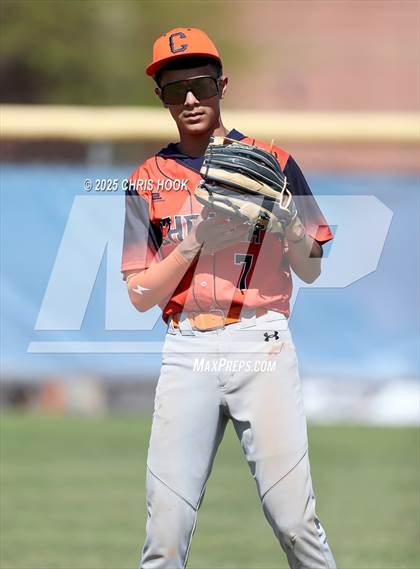 Thumbnail 3 in Cholla @ Sahuarita photogallery.