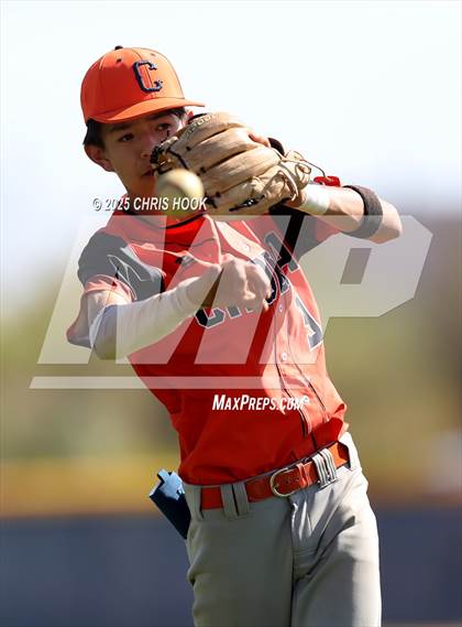 Thumbnail 1 in Cholla @ Sahuarita photogallery.