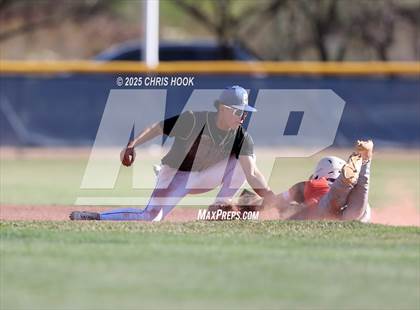 Thumbnail 2 in Cholla @ Sahuarita photogallery.