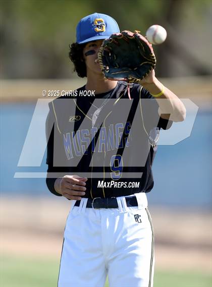 Thumbnail 3 in Cholla @ Sahuarita photogallery.