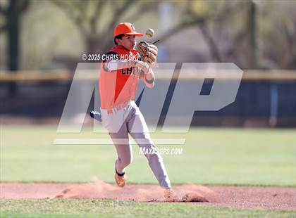 Thumbnail 3 in Cholla @ Sahuarita photogallery.