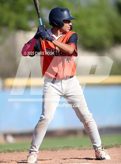 Thumbnail 2 in Cholla @ Sahuarita photogallery.