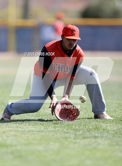 Thumbnail 2 in Cholla @ Sahuarita photogallery.