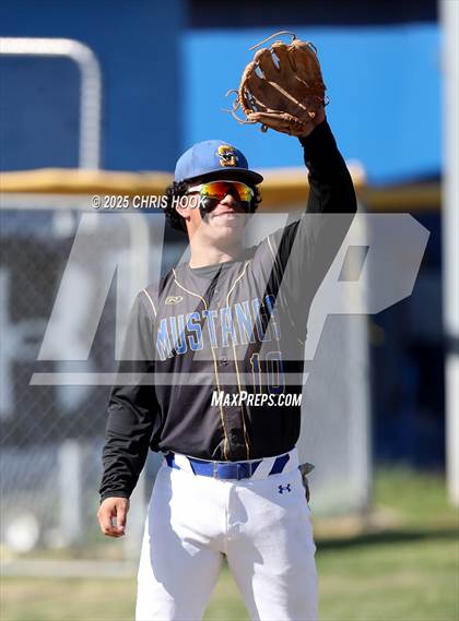 Thumbnail 2 in Cholla @ Sahuarita photogallery.