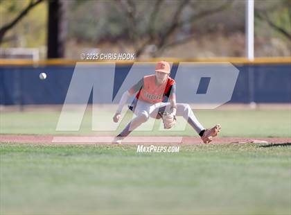 Thumbnail 1 in Cholla @ Sahuarita photogallery.