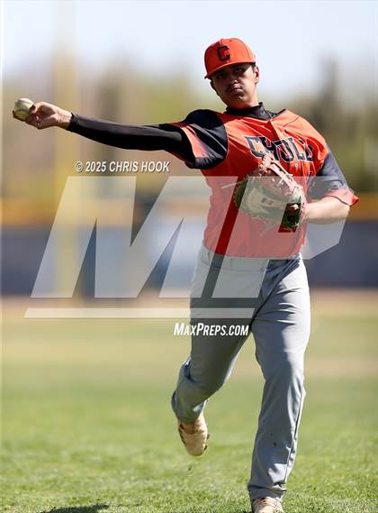 Thumbnail 1 in Cholla @ Sahuarita photogallery.