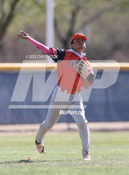 Thumbnail 1 in Cholla @ Sahuarita photogallery.