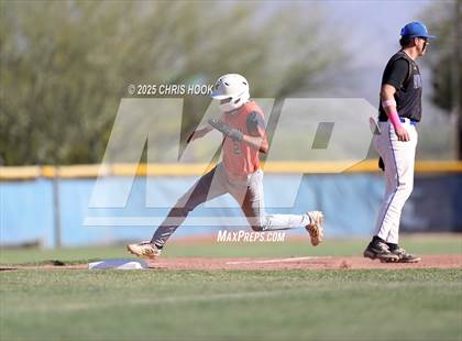 Thumbnail 3 in Cholla @ Sahuarita photogallery.