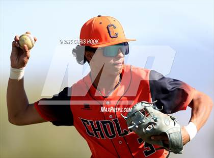 Thumbnail 3 in Cholla @ Sahuarita photogallery.