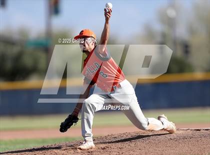 Thumbnail 2 in Cholla @ Sahuarita photogallery.