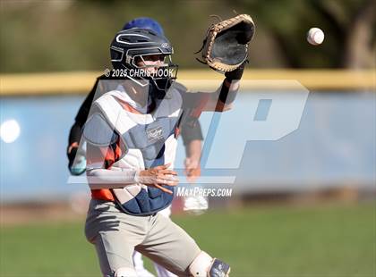 Thumbnail 2 in Cholla @ Sahuarita photogallery.