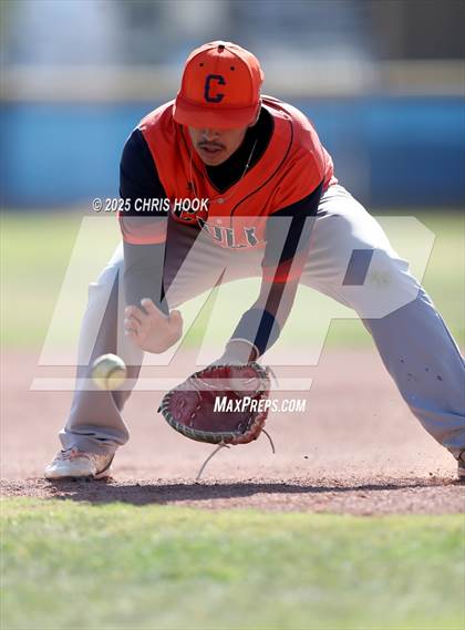 Thumbnail 3 in Cholla @ Sahuarita photogallery.