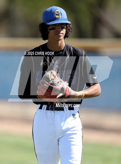 Thumbnail 2 in Cholla @ Sahuarita photogallery.