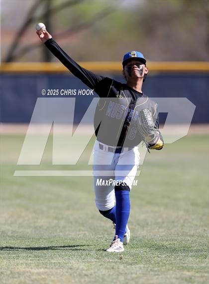 Thumbnail 2 in Cholla @ Sahuarita photogallery.