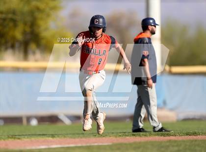 Thumbnail 1 in Cholla @ Sahuarita photogallery.