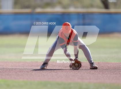 Thumbnail 1 in Cholla @ Sahuarita photogallery.