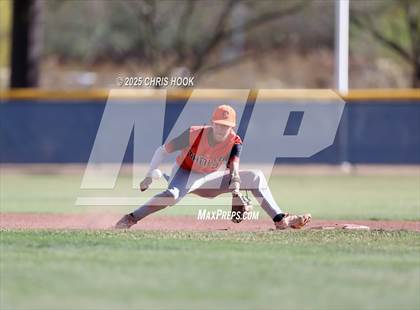 Thumbnail 2 in Cholla @ Sahuarita photogallery.