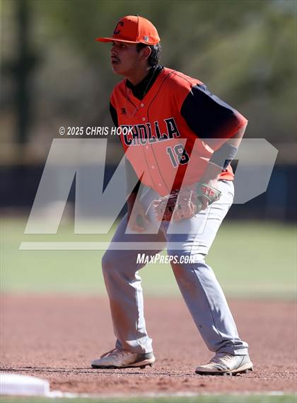 Thumbnail 1 in Cholla @ Sahuarita photogallery.