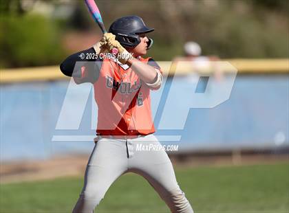 Thumbnail 1 in Cholla @ Sahuarita photogallery.