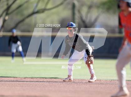 Thumbnail 2 in Cholla @ Sahuarita photogallery.