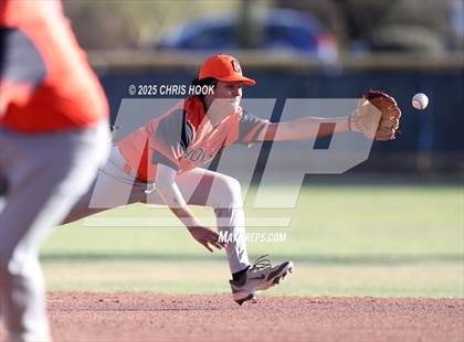 Thumbnail 2 in Cholla @ Sahuarita photogallery.