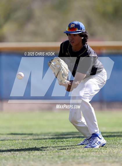 Thumbnail 2 in Cholla @ Sahuarita photogallery.