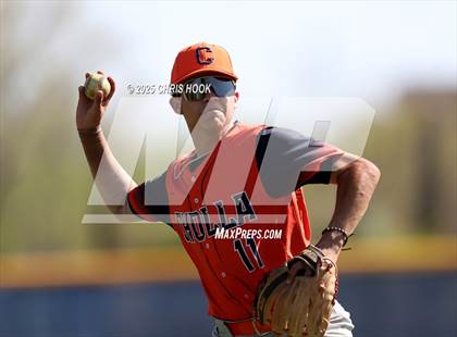 Thumbnail 2 in Cholla @ Sahuarita photogallery.