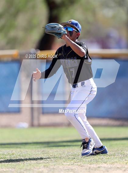Thumbnail 1 in Cholla @ Sahuarita photogallery.