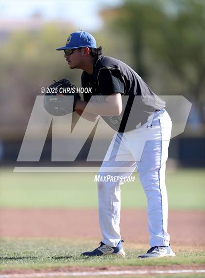 Thumbnail 3 in Cholla @ Sahuarita photogallery.
