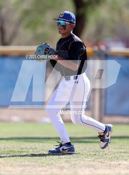 Thumbnail 2 in Cholla @ Sahuarita photogallery.