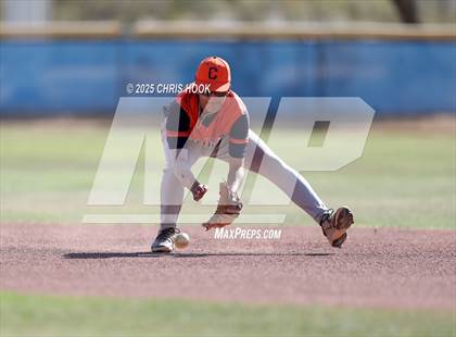 Thumbnail 3 in Cholla @ Sahuarita photogallery.