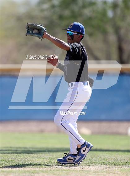 Thumbnail 1 in Cholla @ Sahuarita photogallery.