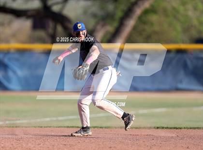 Thumbnail 1 in Cholla @ Sahuarita photogallery.