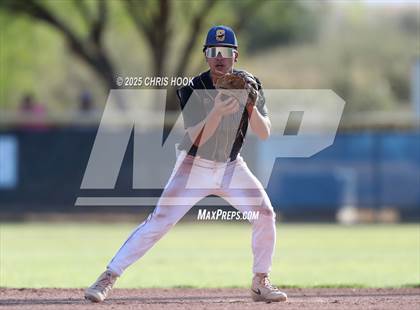 Thumbnail 1 in Cholla @ Sahuarita photogallery.