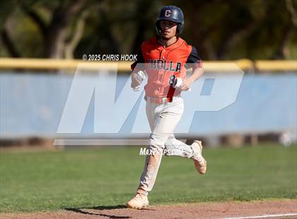 Thumbnail 2 in Cholla @ Sahuarita photogallery.