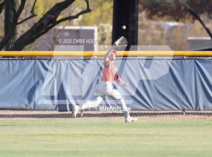 Thumbnail 3 in Cholla @ Sahuarita photogallery.