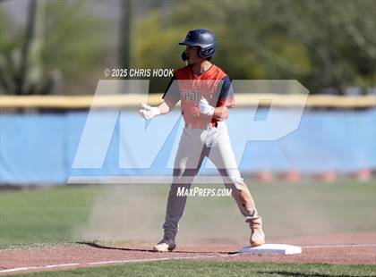 Thumbnail 2 in Cholla @ Sahuarita photogallery.