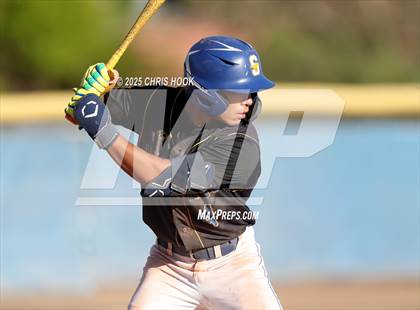 Thumbnail 2 in Cholla @ Sahuarita photogallery.