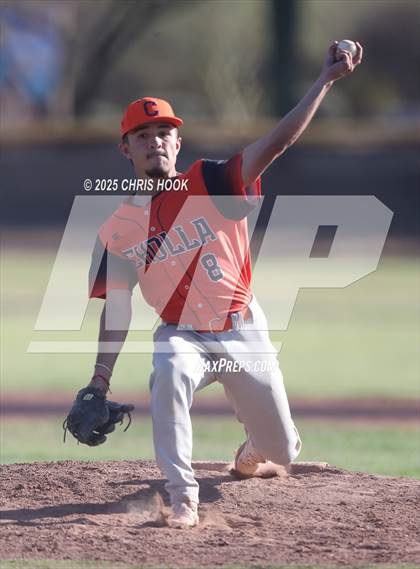 Thumbnail 3 in Cholla @ Sahuarita photogallery.