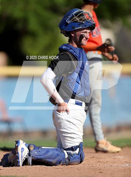 Thumbnail 2 in Cholla @ Sahuarita photogallery.