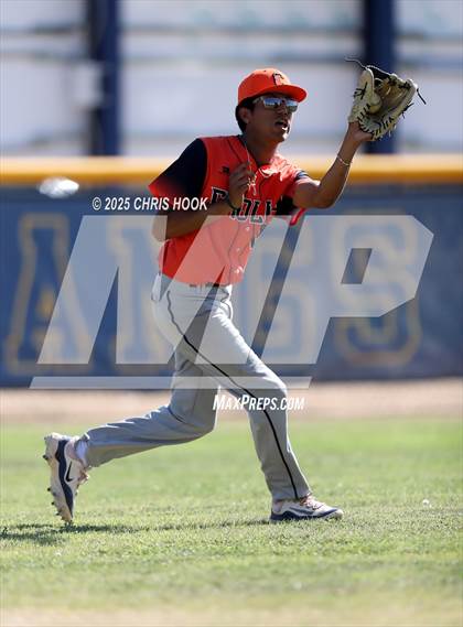 Thumbnail 2 in Cholla @ Sahuarita photogallery.