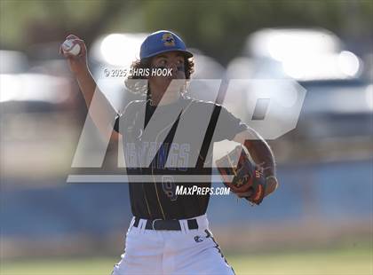 Thumbnail 3 in Cholla @ Sahuarita photogallery.