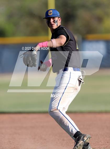 Thumbnail 2 in Cholla @ Sahuarita photogallery.