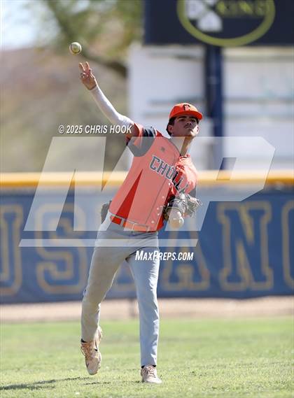 Thumbnail 3 in Cholla @ Sahuarita photogallery.