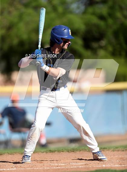 Thumbnail 2 in Cholla @ Sahuarita photogallery.