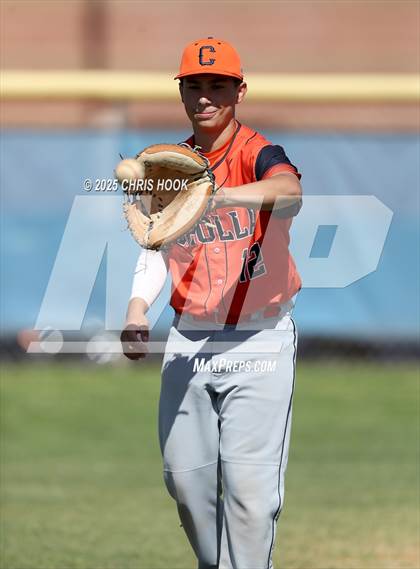 Thumbnail 1 in Cholla @ Sahuarita photogallery.