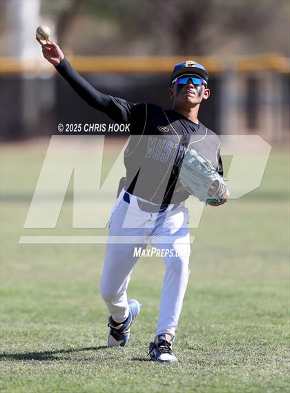 Thumbnail 3 in Cholla @ Sahuarita photogallery.