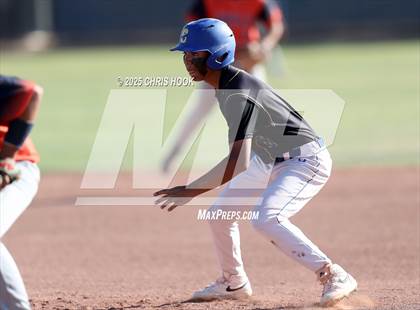 Thumbnail 3 in Cholla @ Sahuarita photogallery.